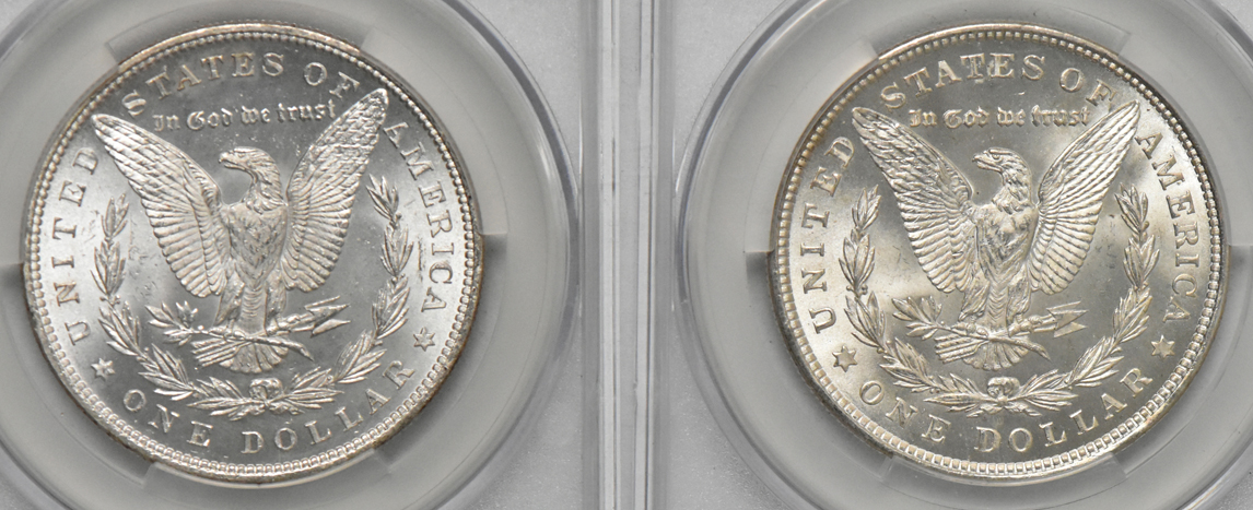 Four Morgan silver dollars, all CACG MS-65