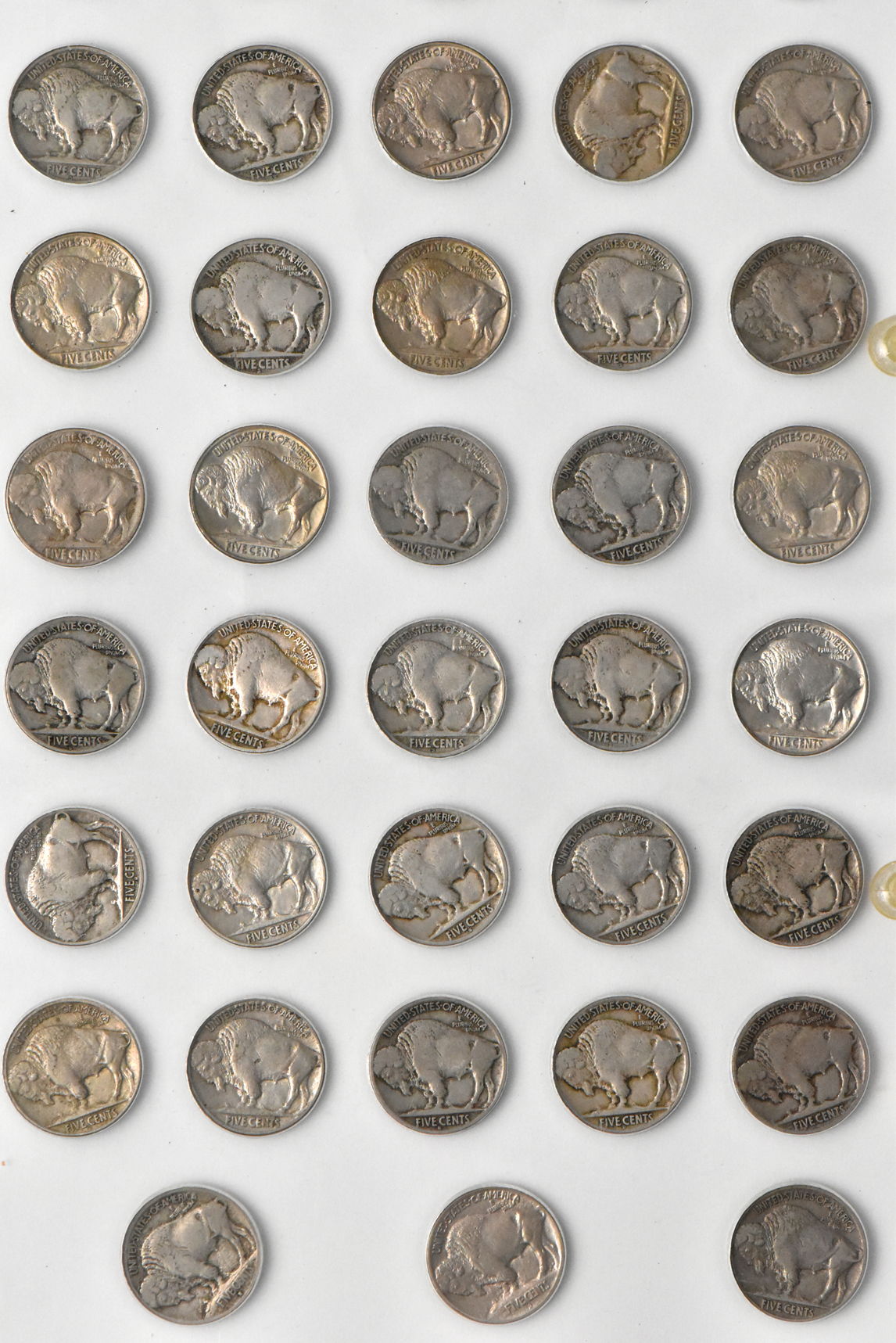 Collection of 65 different Buffalo nickels in a Capital Plastics like holder