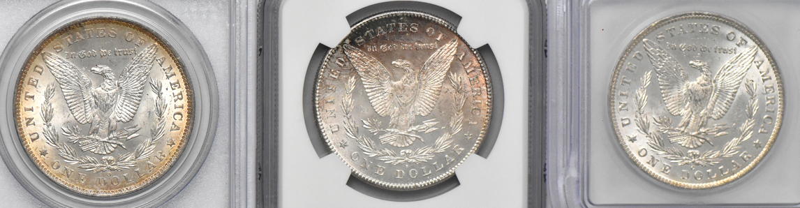 Five Morgan silver dollars