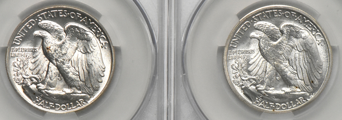Five UNC Walking Liberty half dollars, all CACG