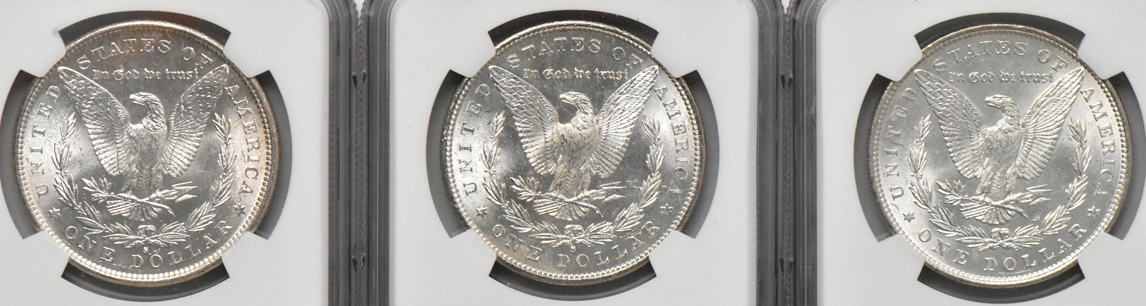 Nine Morgan dollars, all NGC MS-64