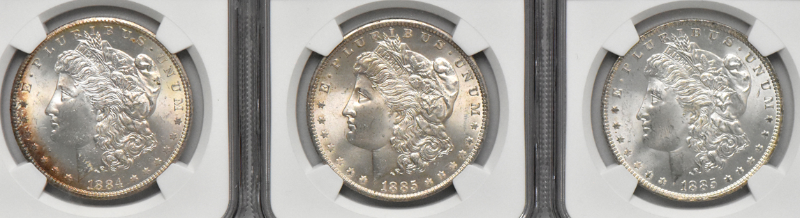 Nine Morgan dollars, all NGC MS-64