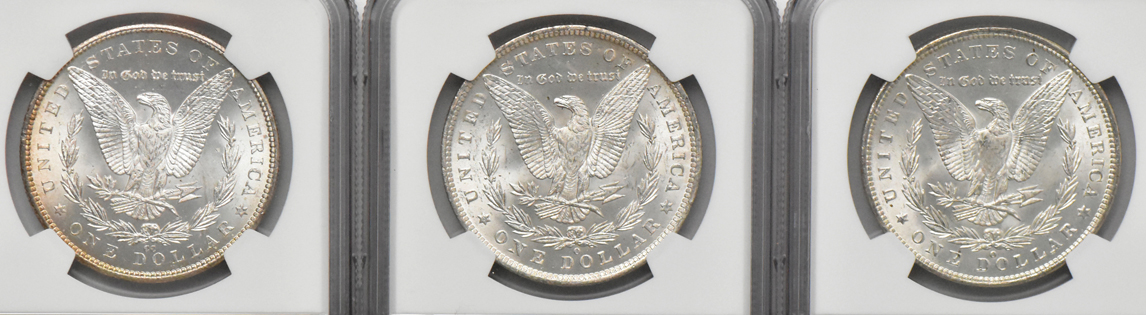 Nine Morgan dollars, all NGC MS-64