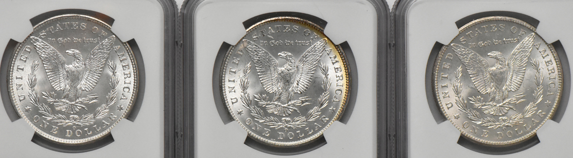 Nine Morgan dollars, all NGC MS-64