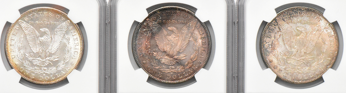 Eight Morgan dollars, all NGC MS-64