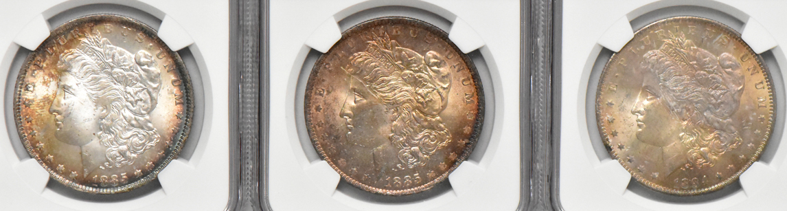 Eight Morgan dollars, all NGC MS-64