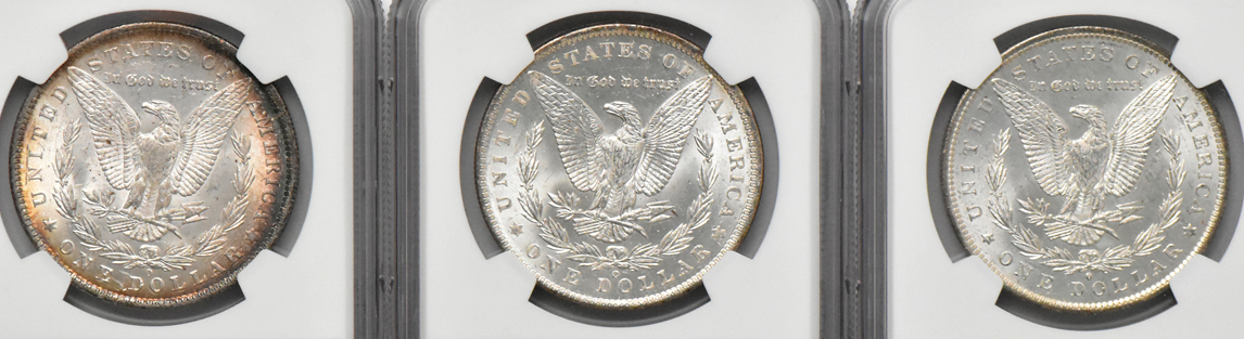 Eight Morgan dollars, all NGC MS-64