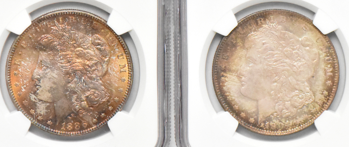 Eight Morgan dollars, all NGC MS-64