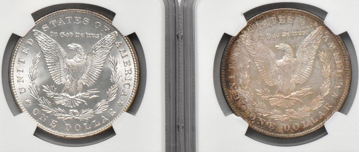 Eight Morgan dollars, all NGC MS-64