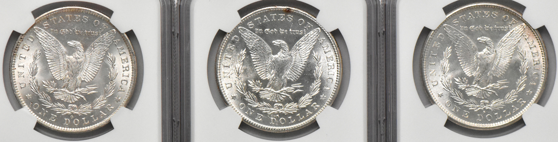 Eight Morgan dollars, all NGC MS-63