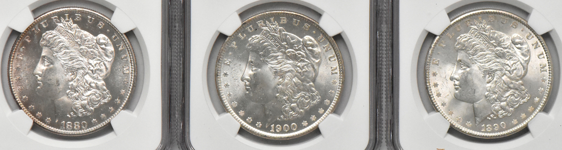 Eight Morgan dollars, all NGC MS-63