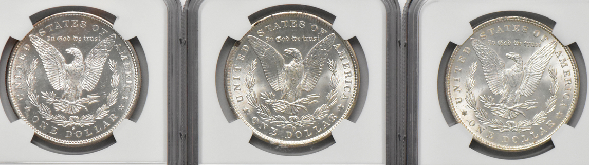 Eight Morgan dollars, all NGC MS-63