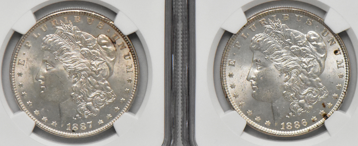 Eight Morgan dollars, all NGC MS-63