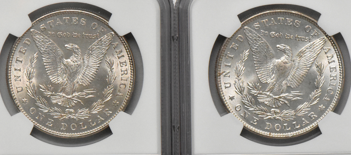 Eight Morgan dollars, all NGC MS-63