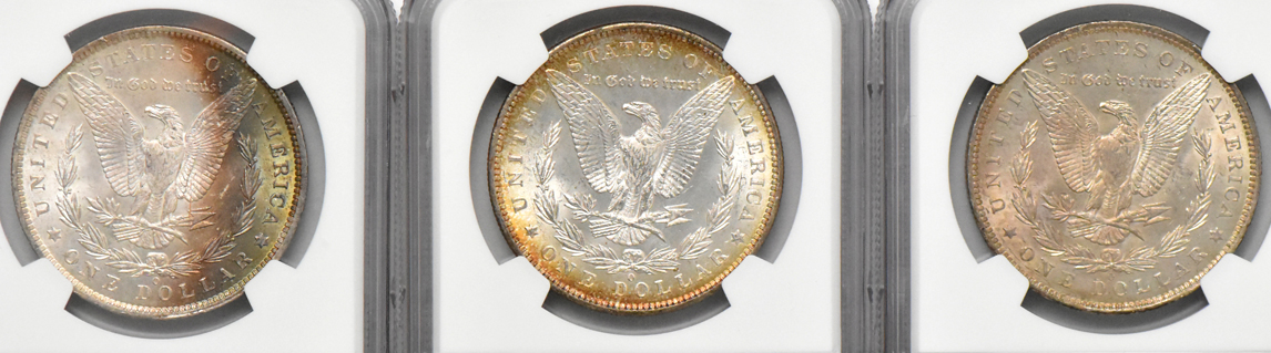 Six Morgan dollars, all NGC MS-63
