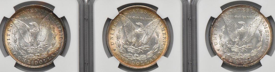 Six Morgan dollars, all NGC MS-63