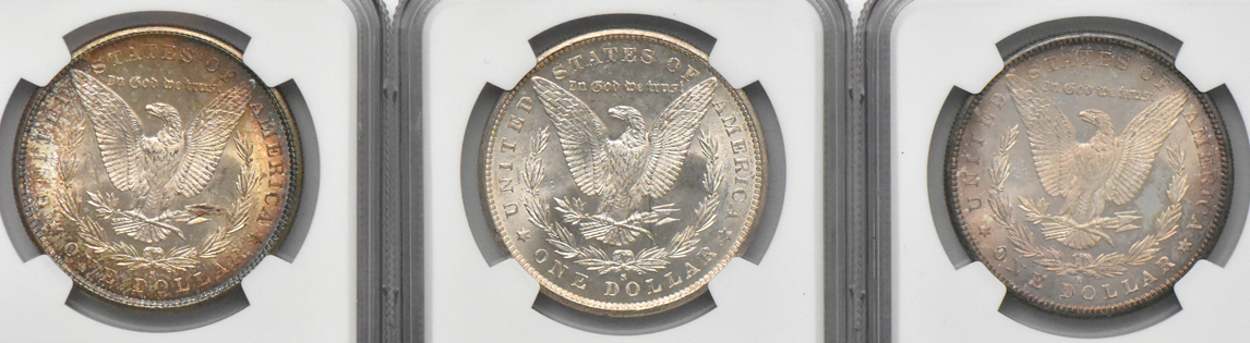 Thirteen Morgan dollars, all NGC MS-63