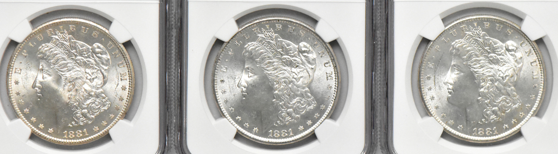 Thirteen Morgan dollars, all NGC MS-63
