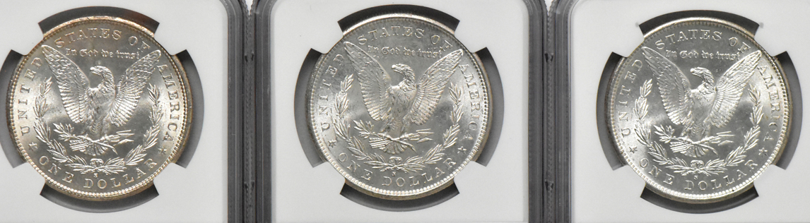 Thirteen Morgan dollars, all NGC MS-63