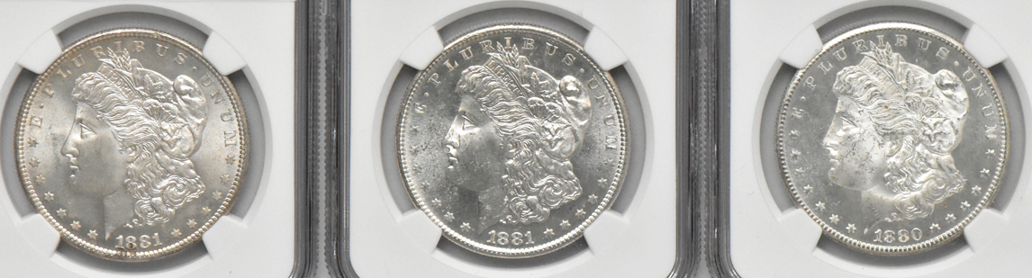 Thirteen Morgan dollars, all NGC MS-63