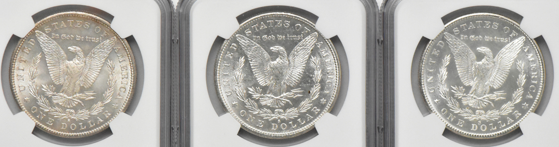 Thirteen Morgan dollars, all NGC MS-63