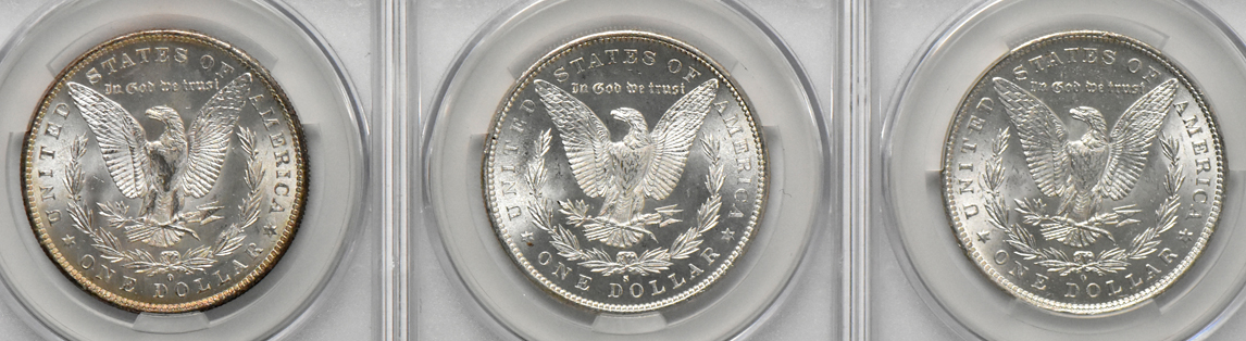 Seven Morgan silver dollars, all CACG MS-62