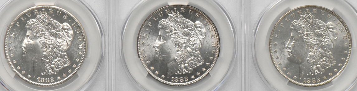 Seven Morgan silver dollars, all CACG MS-62