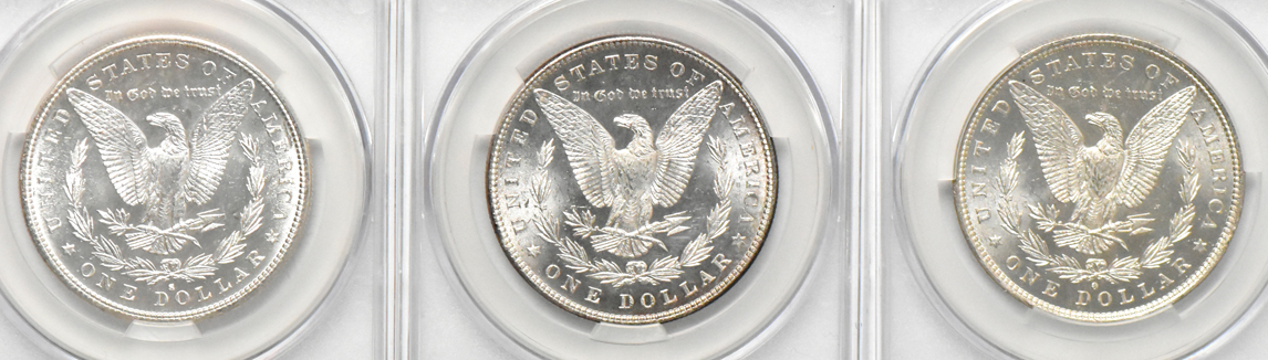Seven Morgan silver dollars, all CACG MS-62