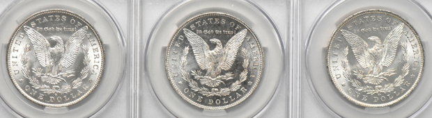 Twenty Morgan dollars, all CACG MS-63