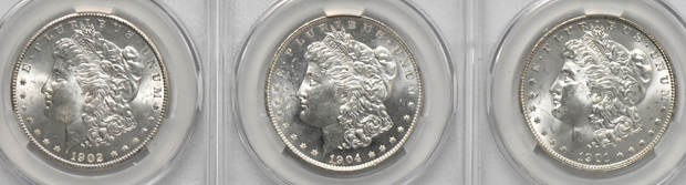 Twenty Morgan dollars, all CACG MS-63