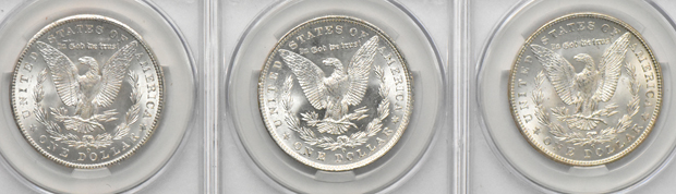 Twenty Morgan dollars, all CACG MS-63