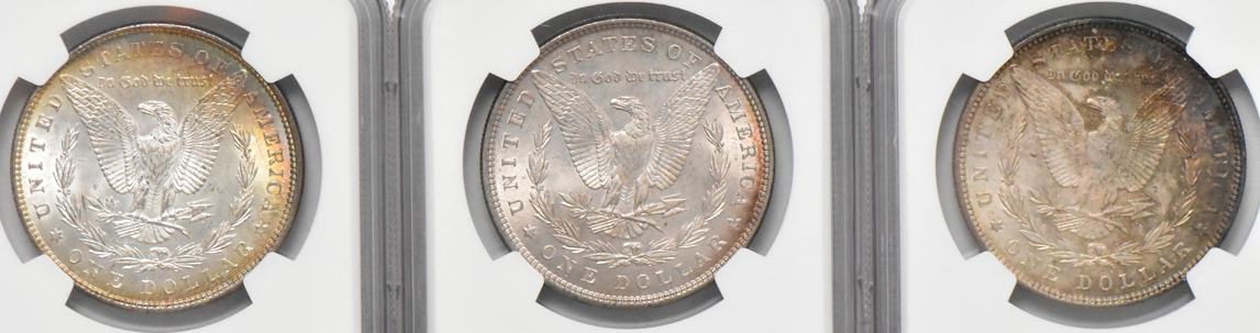 Six Morgan dollars, all NGC MS-63