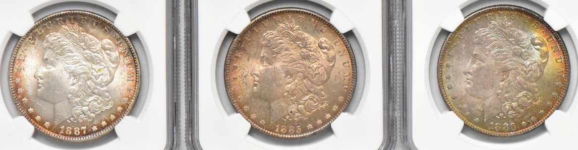 Six Morgan dollars, all NGC MS-63
