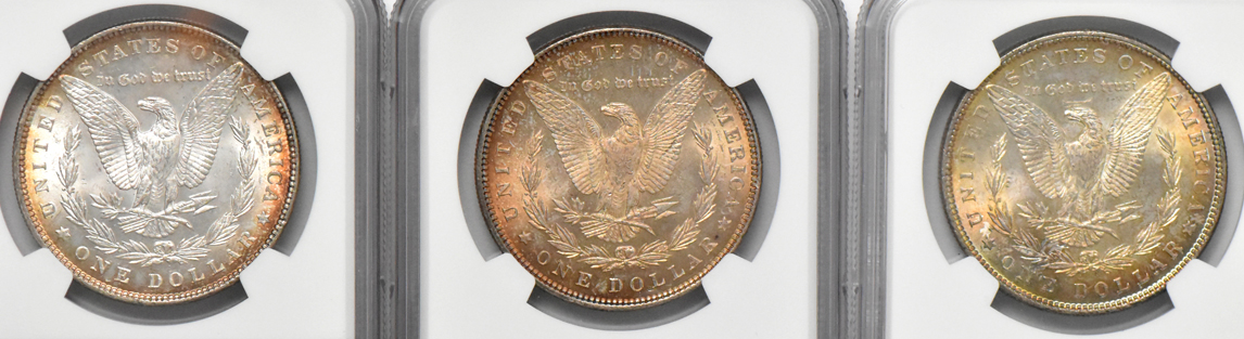 Six Morgan dollars, all NGC MS-63