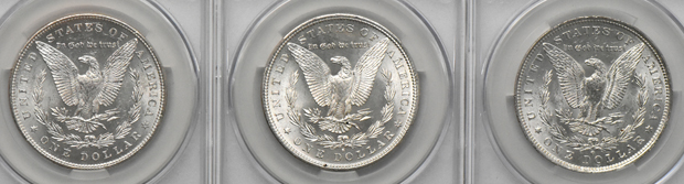 Twenty Morgan dollars, all CACG MS-62