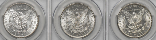 Twenty Morgan dollars, all CACG MS-62