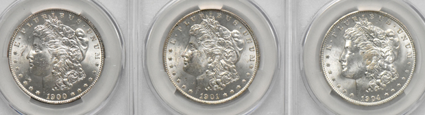 Twenty Morgan dollars, all CACG MS-62