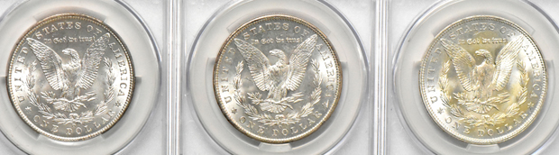 Twenty Morgan dollars, all CACG MS-62