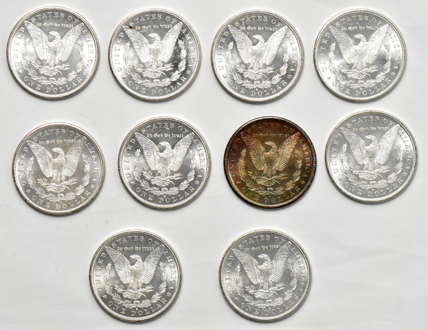 Twenty BU morgan dollars