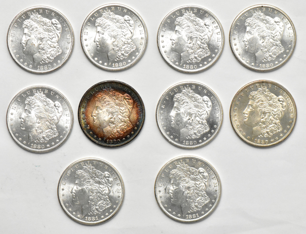Twenty BU morgan dollars