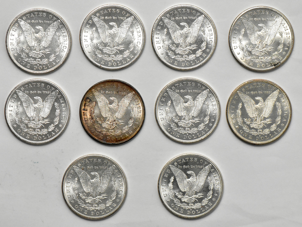 Twenty BU morgan dollars