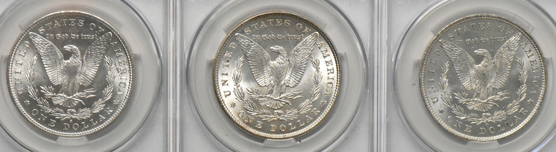 Eight Morgan dollars (seven MS-64 and one MS-65), all CACG