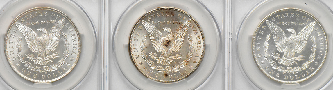 Eight Morgan dollars (seven MS-64 and one MS-65), all CACG
