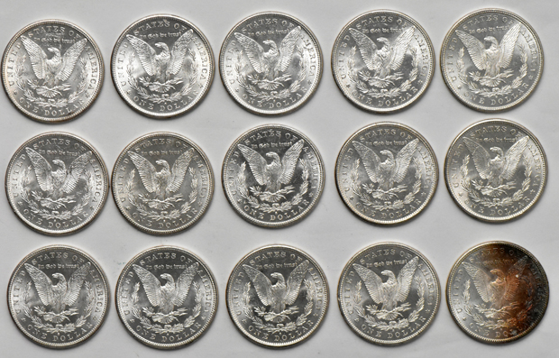 Twenty-five BU Morgan dollars