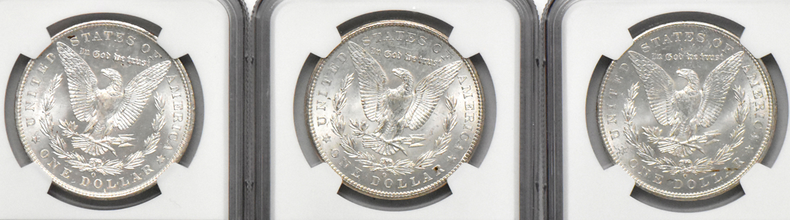 Ten Morgan dollars, all NGC MS-63