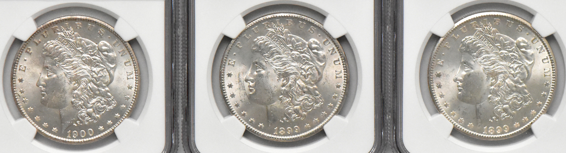 Ten Morgan dollars, all NGC MS-63
