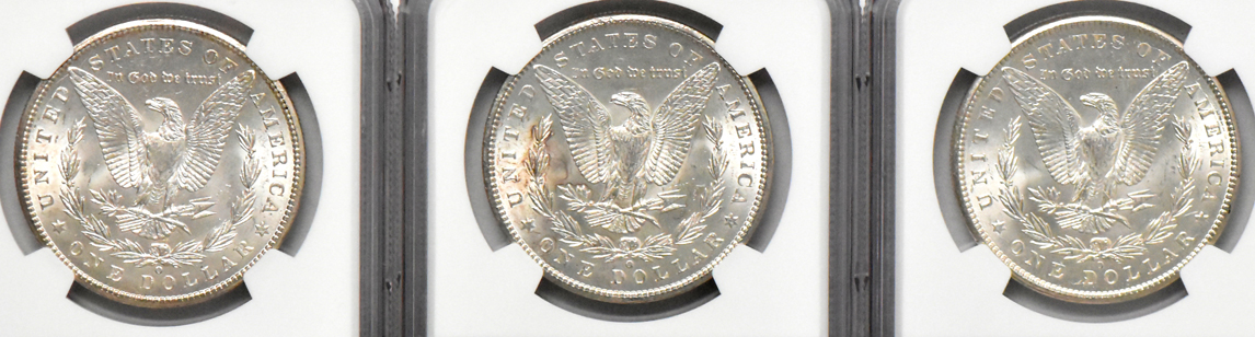 Ten Morgan dollars, all NGC MS-63