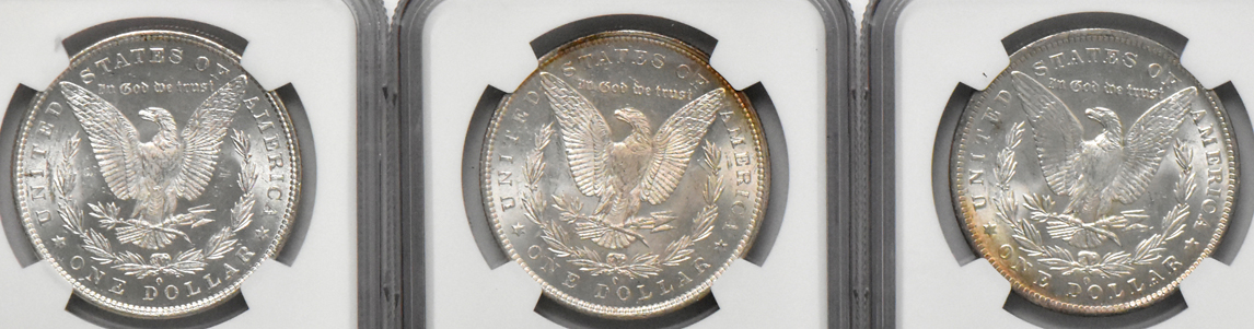 Ten Morgan dollars, all NGC MS-63