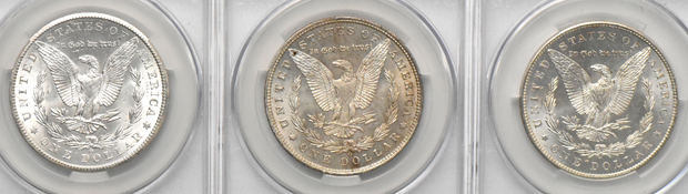 Fifteen Morgan dollars, all CACG MS-64