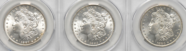 Fifteen Morgan dollars, all CACG MS-64